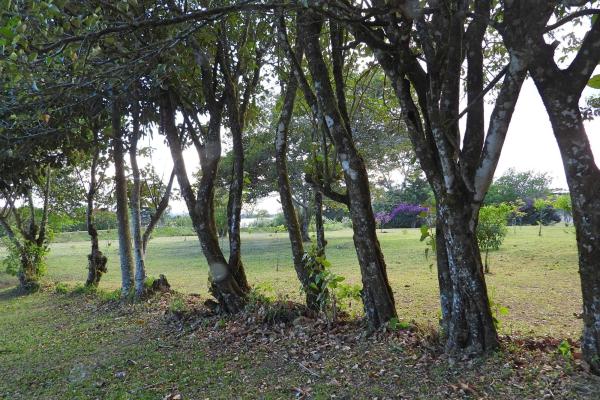 Finca campestre con múltiples edificaciones en palmira
