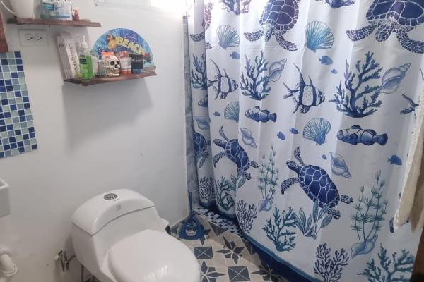 Private retreat with 2 homes and pool in coronado