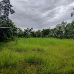 Amplio terreno plano de 9.229 m² en alto boquete