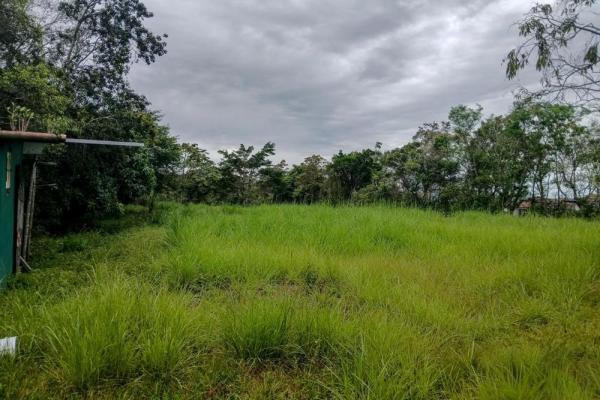 Amplio terreno plano de 9.229 m² en alto boquete