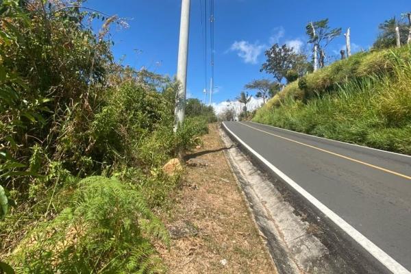 Land for sale in sorá