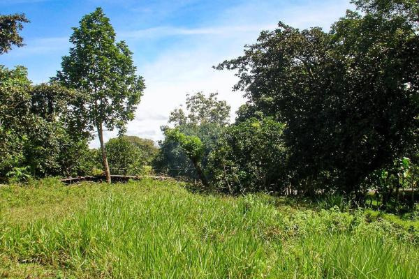 16,113 m² land with creek & mountain views, dolega