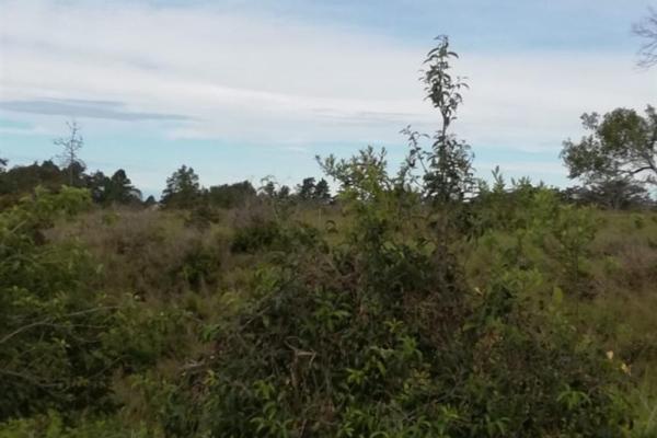 Amplios 5 hectáreas en venta en alto boquete