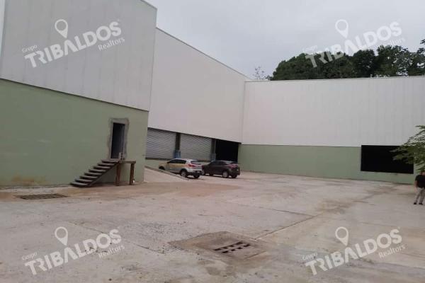 Alquiler de galera en las mañanitas