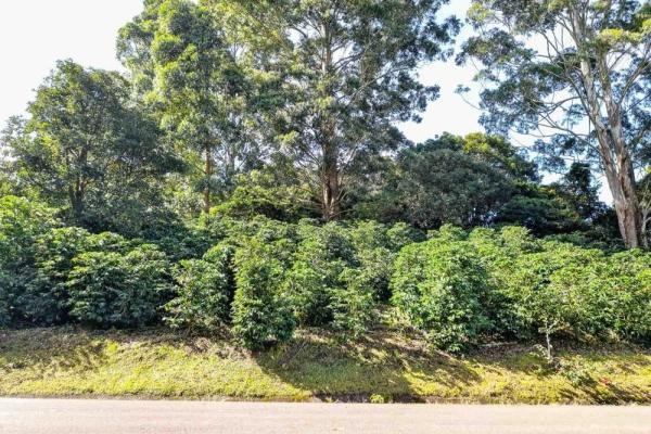 Premium home building lot in las terrazas –boquete