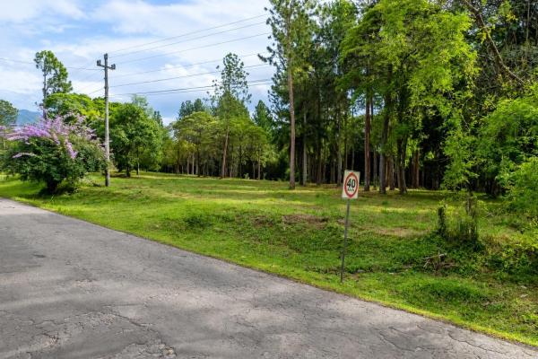 Se vende terreno de 1.9 hectáreas en potrerillos arriba