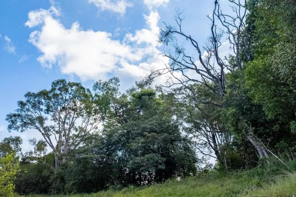 22 hectares with creek and mountain views