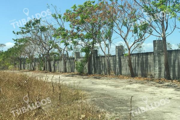 Venta de terreno frente a la panamericana, santa clara