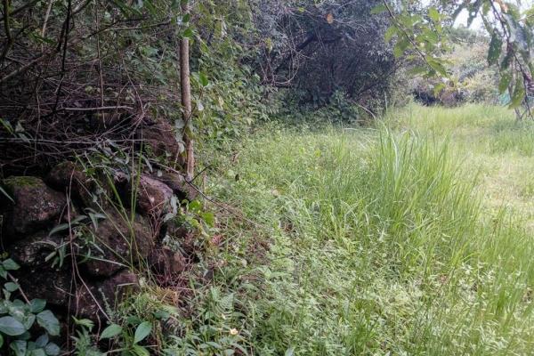 Amplio terreno plano de 9.229 m² en alto boquete