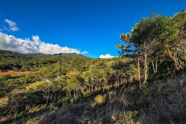 Mountain view lot for sale in jaramillo, boquete