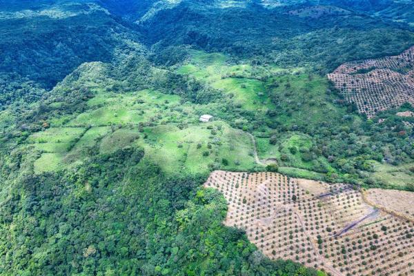 55.74 hectares of paradise in the mountains