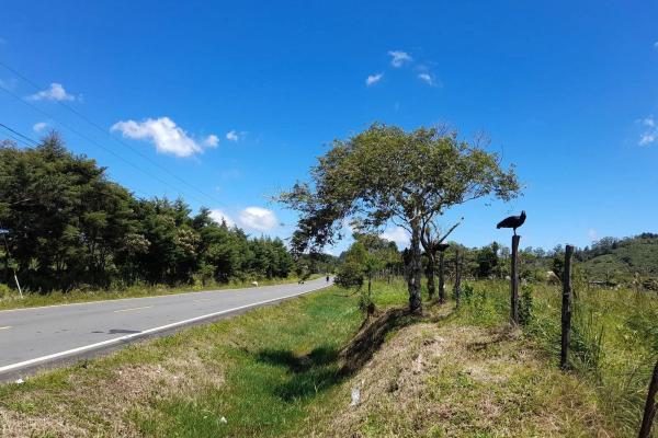Flat road-front lot for sale in volcan