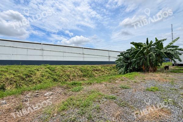 Land for sale on josé agustín arango avenue