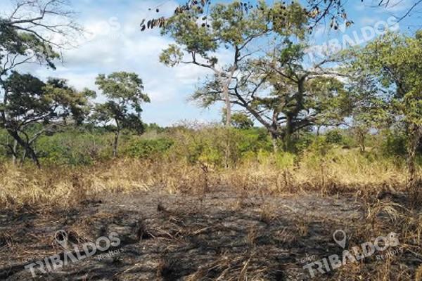 Venta de terreno en punta barco