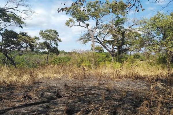 Land for sale in punta barco