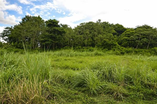 Industrial land for sale in tocumen storage c
