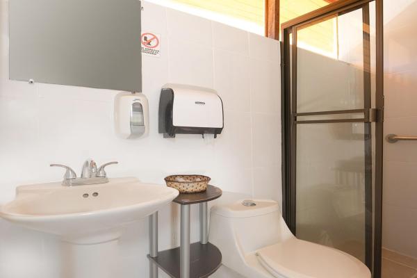 Fantastic & successful downtown boquete hotel