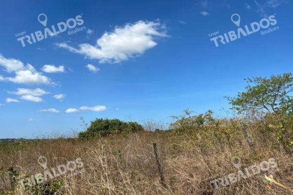 Land for investment in veraguas, santiago