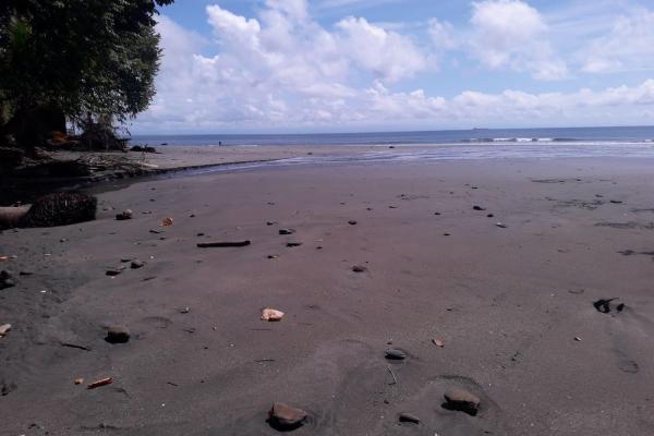 Land 172 acres in puerto armuelles, limones io
