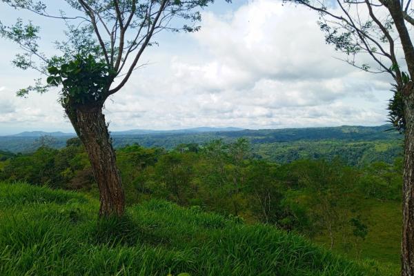 Finca en santa rosa para ganadería y agricultura