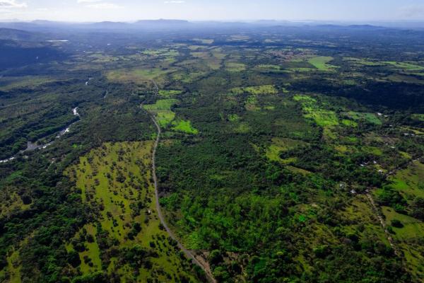 10 hectares for sale in caldera boquete
