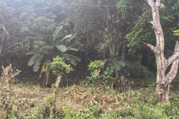 Terreno de 4 hectáreas en venta en veracruz, panamá
