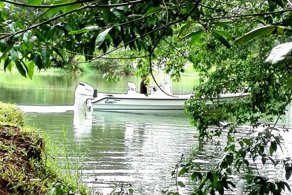 Lot for sale in guabala with river, estuary