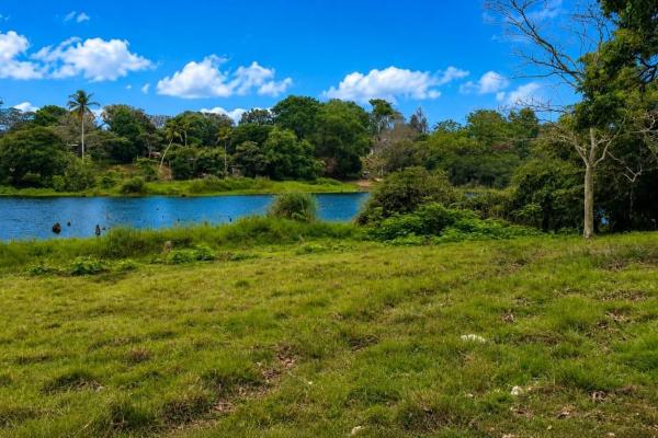 Terreno de 14,5 hectáreas a orillas del lago gatún, arenosa.