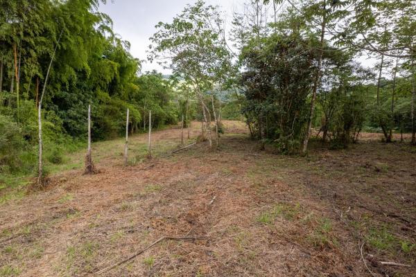 Spring-fed lake & 10 hectares for sale in rovira d
