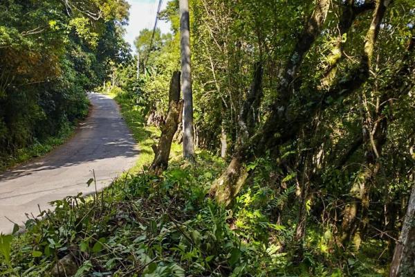 7,843 m² lot for sale in volcancito arriba