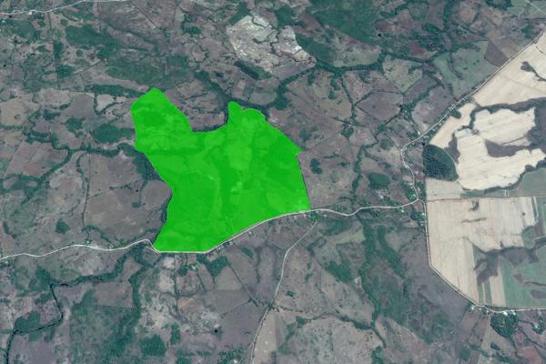 Venta de finca agrícola en ocú 128 hectáreas