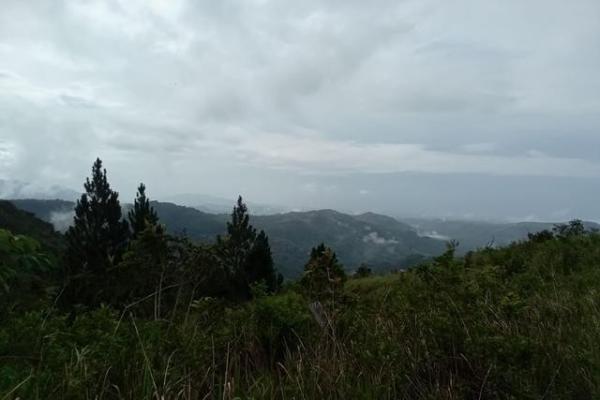 22 hectares within altos del maria with views