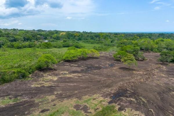 Terreno de 8 hectáreas en venta con acceso a la carretera panamericana.