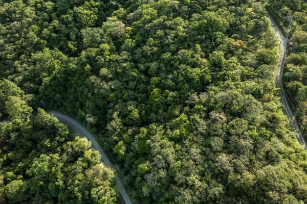 Terreno en jaramillo abajo boquete panamá