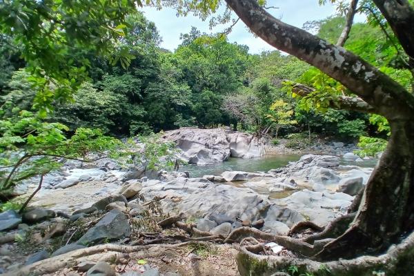 Sale of land 116 acres in san miguel, pacora river