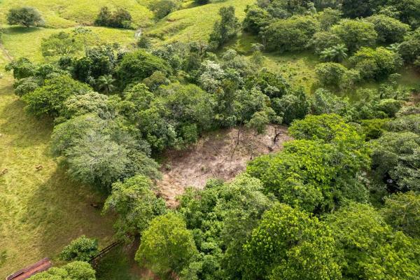 Se vende 2.02 hectareas planas en las lajas chiriqui