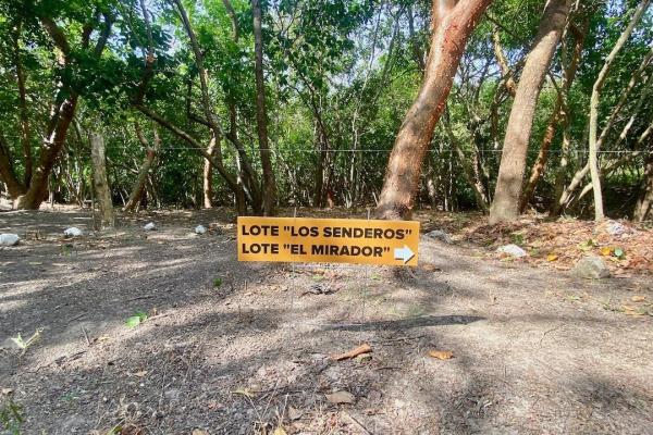 4.3 hectares finca – ideal community project