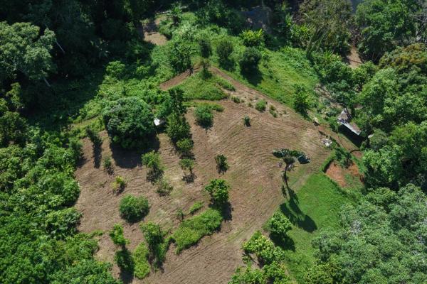 10 hectares of titled waterfront in tierra oscura