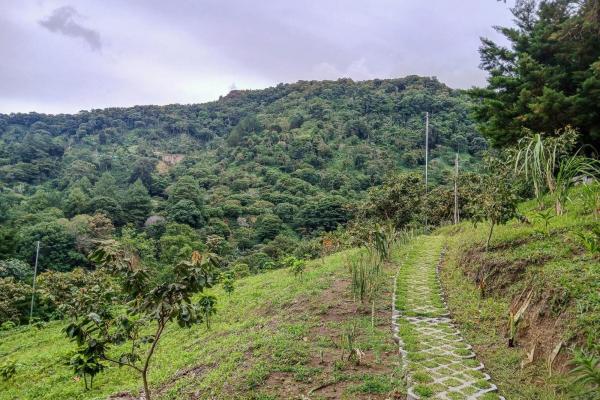 Cabaña con vistas al volcán barú en venta en jaramillo