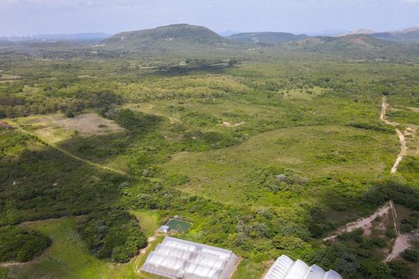 Venta de terreno para desarrollo residencial