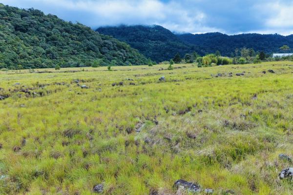 Large residential lot for sale – paso ancho