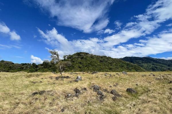Serene flat land for sale with mountain views