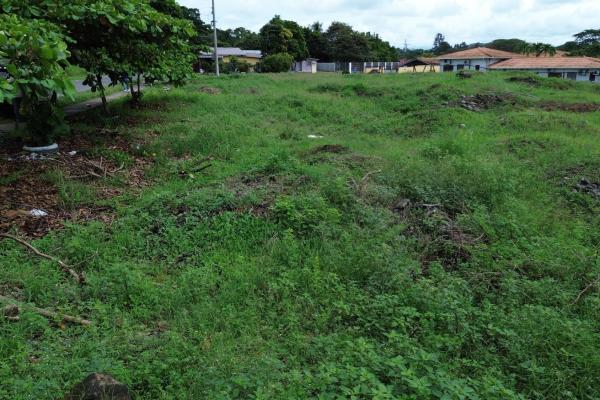Commercial lot for sale in david