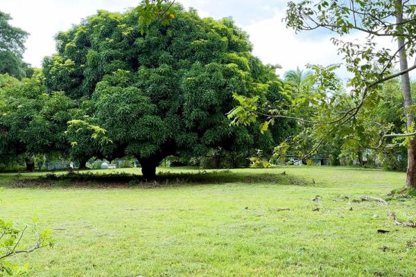 Venta de terreno en gorgona