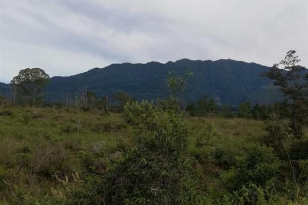 Amplios 5 hectáreas en venta en alto boquete