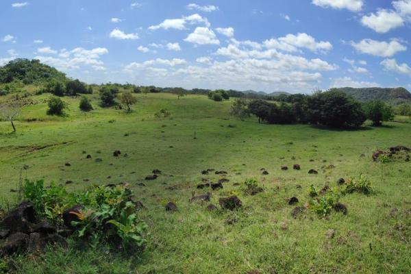 Investor opportunity: high-growth area in veraguas