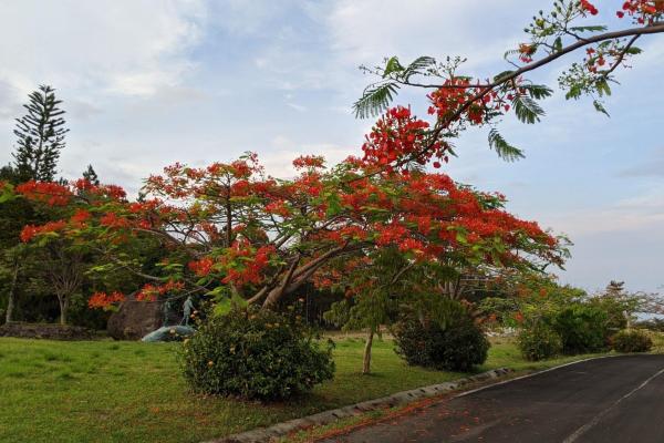 El nancito: ocean + mountain investment land