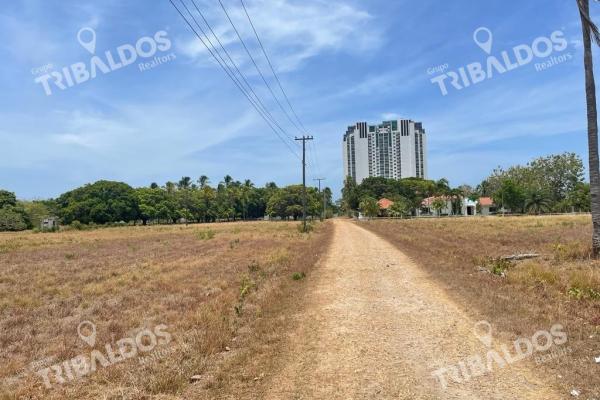 Venta de terreno con acceso al mar en rio hato