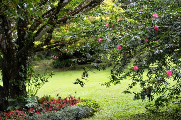 Casablanca: una finca histórica por encima de las nubes