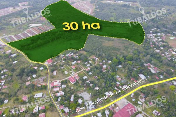 Venta de terreno para desarrollo de casas en arraijan